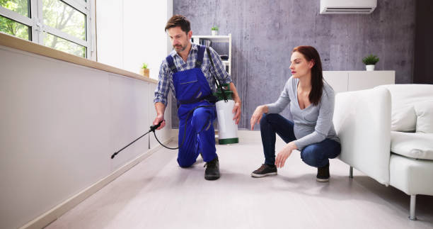 Best Pest Prevention Services  in Dunlap, IL